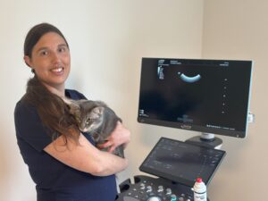 Image of Online Vet Training instructor Emmelie Stock