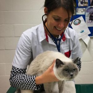 Image of Online Vet Training instructor Pascale Smets