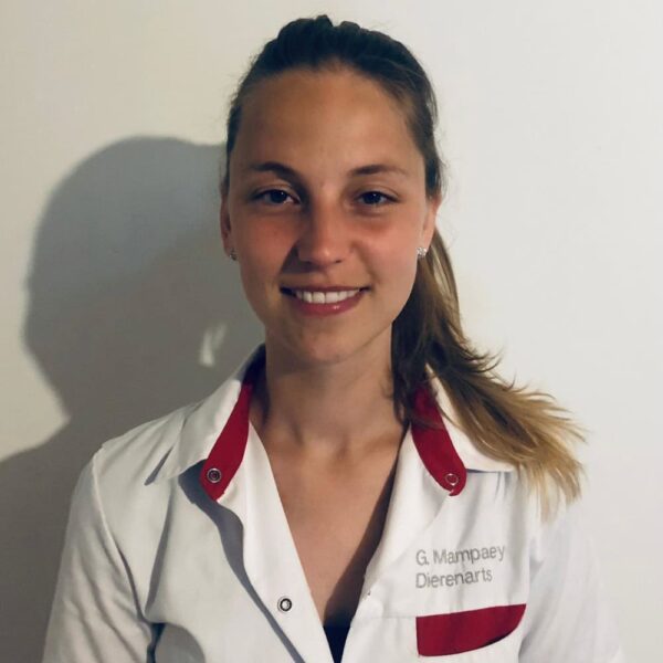 image of Online Vet Training instructor Gitte Mampaey